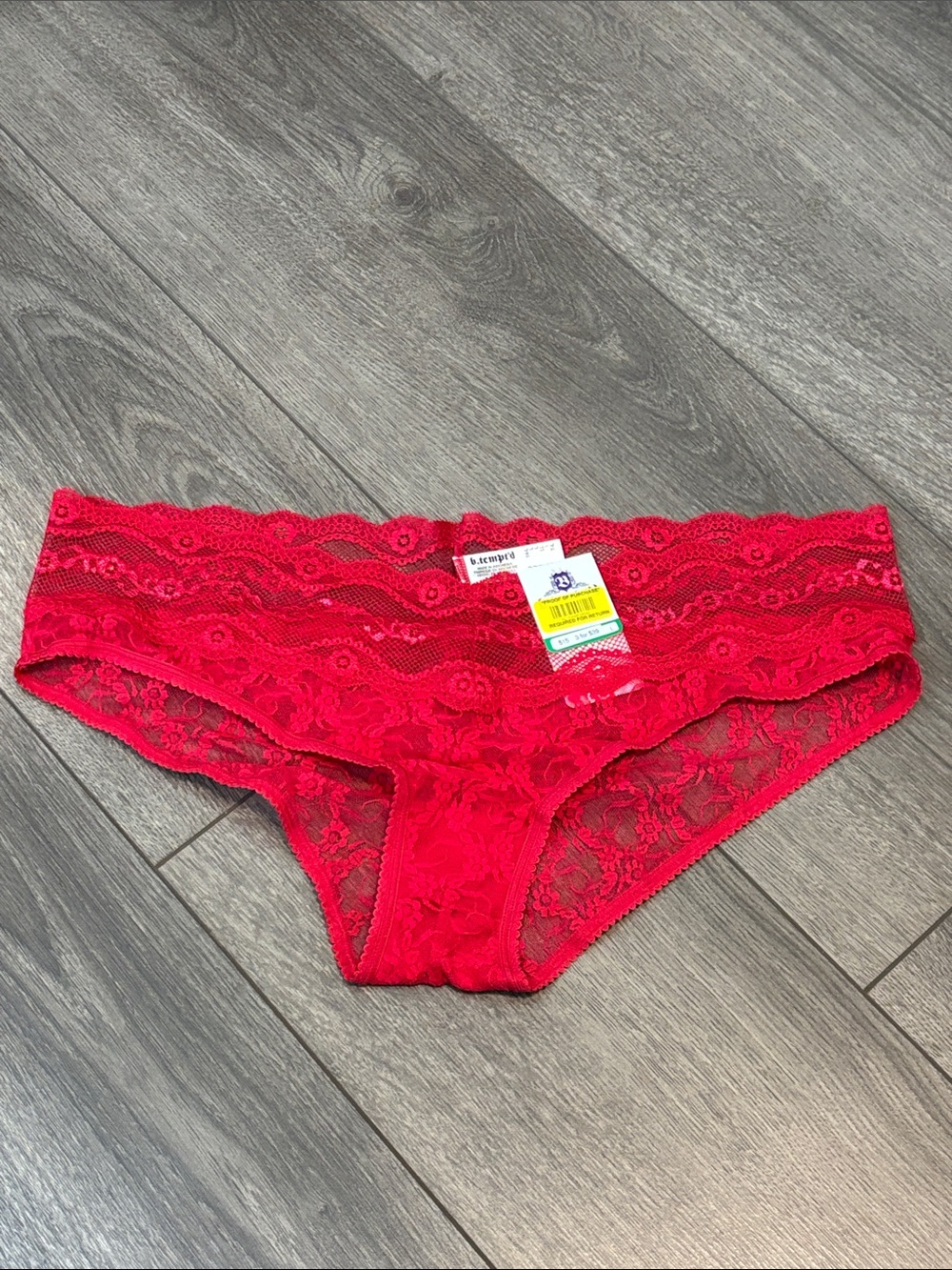 Lace Hipster Panty in Scarlet Red